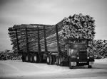 Mack CL350 1976 года